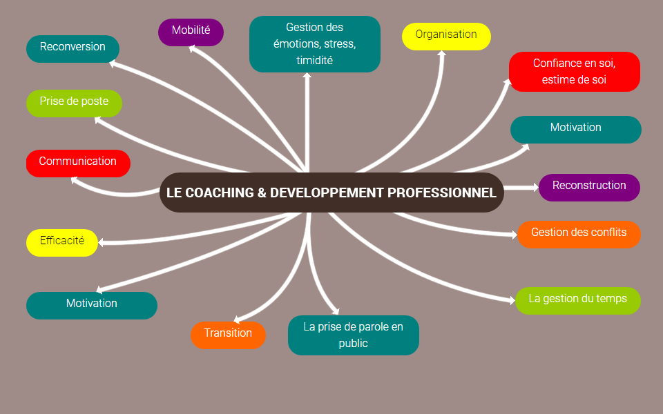 Coaching professionnel